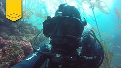 VIDEO: Kirby Morgan Modular Full Face Mask - Naples Reef, CA